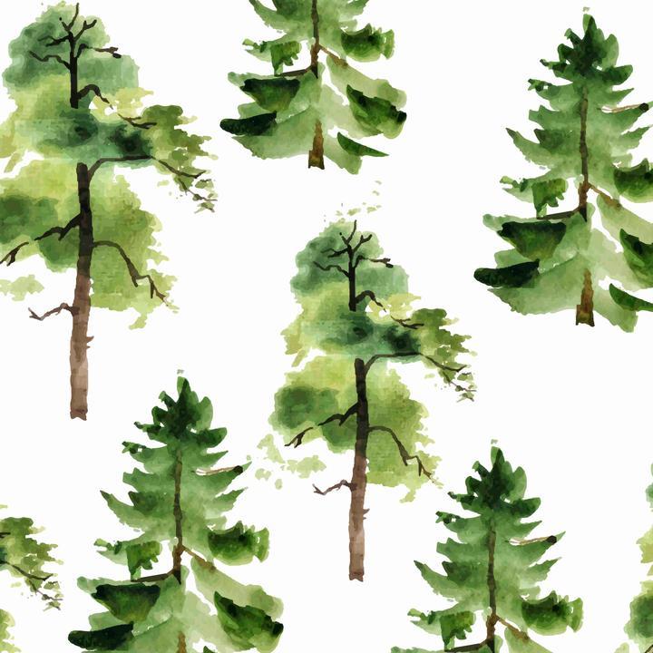 Cedar Wallpaper - Sample