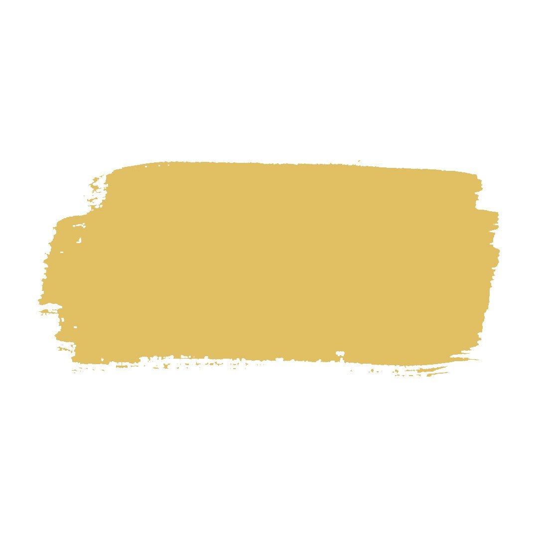 Golden Mustard - Quart / Chalkboard