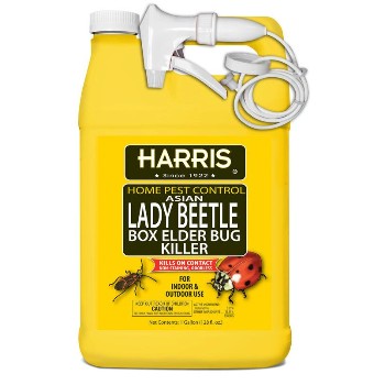 Harris  HBXA-128 Lady Beetle &amp; Boxelder Bug Killer ~ Gallon