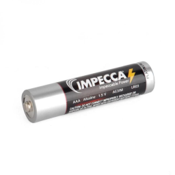 100-Pack: Impecca Alkaline Platinum Batteries