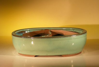 Green Ceramic Bonsai Pot - Oval <br>Land/Water Divider<br><i>11.25 x 9.5 x 3.0</i>