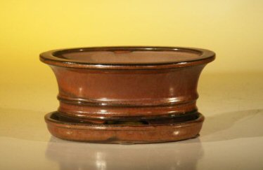 Aztec Orange Ceramic Bonsai Pot - Oval<br>Professional Series with Attached Humidity/Drip tray<br><i>6.37 x 4.75 x 2.625</i>