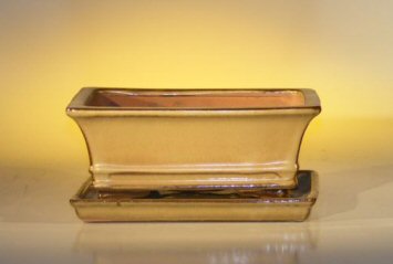 Olive Green Ceramic Bonsai Pot - Rectangle<br>Professional Series with Attached Humidity/Drip tray<br><i>8.5 x 6.5 x 3.5</i>