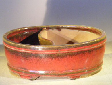 Parisian Red Ceramic Bonsai Pot - Oval &lt;br&gt;Land/Water Divider &lt;br&gt;&lt;i&gt;10 x 8 x 3.75&lt;/i&gt;