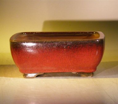Parisian Red Ceramic Bonsai Pot - Rectangle <br><i>8.0 x 6.25 x 2.5</i>