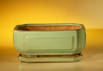 Light Green Ceramic Bonsai Pot - Rectangle<br>Professional Series With Attached Humidity/Drip tray<br><i>8.5 x 6.5 x 3.5</i>