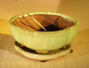 Woodlawn Green Ceramic Bonsai Pot<br>Round Petal Shape<br>Professional Series with Attached Humidity/Drip tray<br><i>6.0 x 4.75 x 2.5</i>