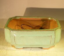 Green Ceramic Bonsai Pot - Rectangle&lt;br&gt;Professional Series&lt;br&gt;8.25 x 6.25 x 4.0