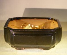 Black Ceramic Bonsai Pot - Rectangle<br>Professional Series<br>8.25 x 6.25 x 4.0