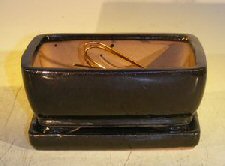 Black Ceramic Bonsai Pot - Rectangle <br>Professional Series with Attached Humidity/Drip Tray <br>6.37 x 4.75 x 2.625
