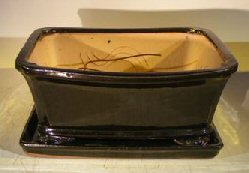Black Ceramic Bonsai Pot- Rectangle <br>Professional Series with Attached Humidity/Drip Tray <br>10.0 x 9.0 x 4.5