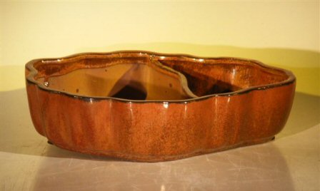 Aztec Orange Ceramic Bonsai Pot - Oval with Scalloped Edges <br>Land/Water Divider <br><i> 9.5 x 7.5 x 2.25</i>