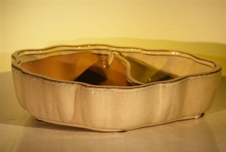 Biege Ceramic Bonsai Pot - Oval with Scalloped Edges - Land/Water Divider <br> 9.5 x 7.5 x 2.25</i>