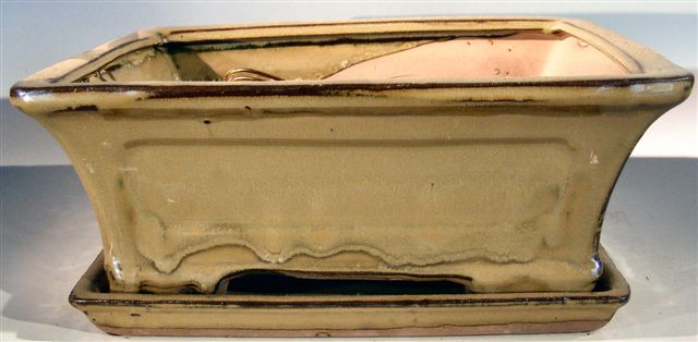 Olive Green Ceramic Bonsai Pot - Rectangle &lt;br&gt;Professional Series with Attached Humidity/Drip Tray &lt;br&gt;&lt;i&gt;10.25 x 8.0 x 4.125 OD&lt;br&gt;9.0 x 7.0 x 3.25 ID&lt;/i&gt;