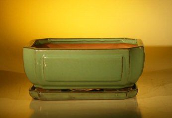 Green Ceramic Bonsai Pot - Rectangle <br>Professional Series With Attached Humidity/Drip tray <br>10.75 x 8.5 x 4.125
