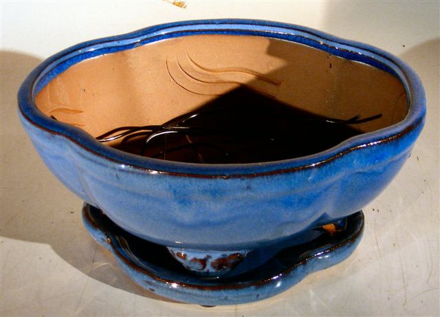 Blue Ceramic Bonsai Pot - Oval<br>Professional Series with Attached Humidity/Drip tray<br><i>8.5 x 7 x 4</i>