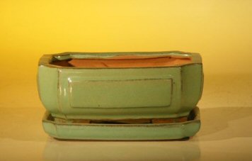 Light Green Ceramic Bonsai Pot - Rectangle <br>Professional Series with Attached Humidity/Drip tray<br><i>6.37 x 4.75 x 2.625</i>