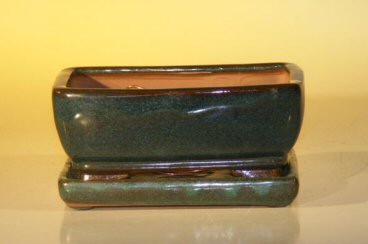 Green Ceramic Bonsai Pot  With Attached Humidity/Drip tray - Professional Series<BR>Rectangle <br>6.37 x 4.75 x 2.625