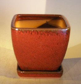 Parisian Red Ceramic Bonsai Pot<br>Square With Attached Tray <br><i>5 x 5 x 5.5</i>