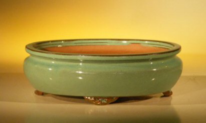Green Ceramic Bonsai Pot - Oval <br><i>10 x 8 x 3.125</i>