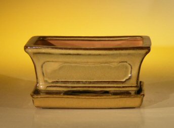 Olive Green Ceramic Bonsai Pot - Rectangle <br>Professional Series with Attached Humidity/Drip tray <br><i>6.37 x 4.75 x 2.625</i>