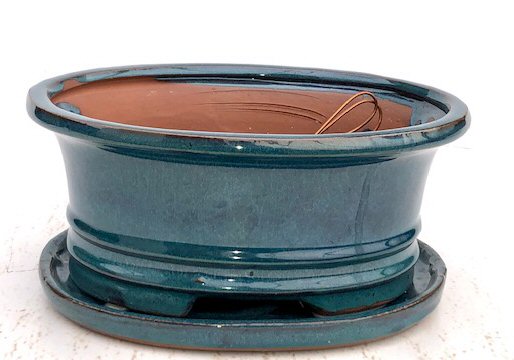 Dark Moss Green Ceramic Bonsai Pot - Oval <br>Professional Series with Attached Humidity/Drip Tray <br><i>10.75 x 8.5 x 4.125</i>