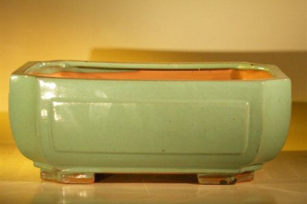 Green Ceramic Bonsai Pot - Rectangle <br>Professional Series <br>12.0 x 9.5 x 4.75
