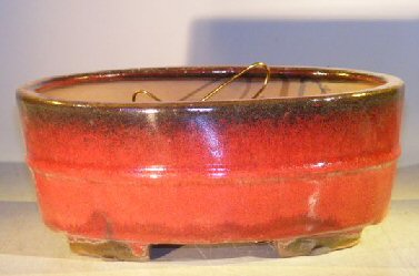 Parisian Red Ceramic Bonsai Pot - Oval <br>Professional Series <br><i>10 x 8 x 4</i>