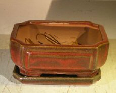 Parisian Red Ceramic Bonsai Pot - Rectangle <br>Professional Series with Attached Humidity/Drip tray <br><i>6.37 x 4.75 x 2.625</i>