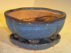Blue Ceramic Bonsai Pot- Lotus Shape <br>Professional Series with Attached Humidity/Drip Tray <br>6.37 x 4.75 x 2.625<br>