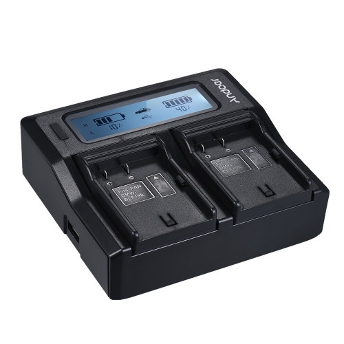 Andoer DMW-BLF19E Dual Channel LCD Camera Battery Charger