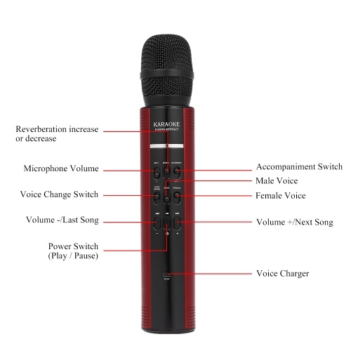 Karaoke Player Wireless Bluetooth Speaker Stereo Music Player Microphone