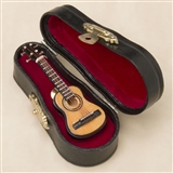 Acoustic Guitar Pin with Case