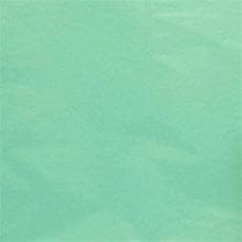 Cool Mint Premium Tissue Paper - 20 X 26 - 1.2 mil thick - Quantity: 400 by Paper Mart