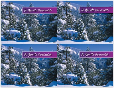 Snowy Trees Generic Laser Postcards