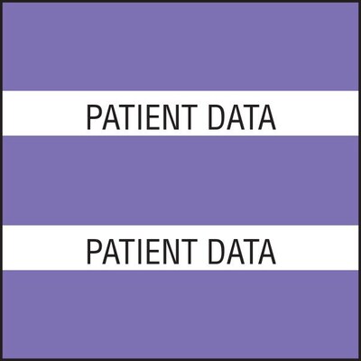 Medical Arts Press(r) Large Chart Divider Tabs, Patient Data, Purple