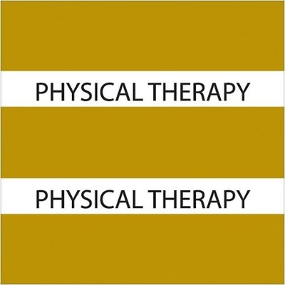 Medical Arts Press(r) Large Chart Divider Tabs; Physical Therapy, Olive