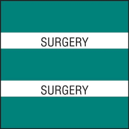 Medical Arts Press(r) Large Chart Divider Tabs, Surgery, Teal
