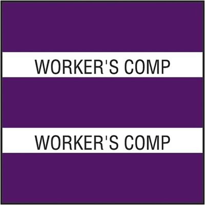 Medical Arts Press(r) Large Chart Divider Tabs; Workers' Comp, Purple
