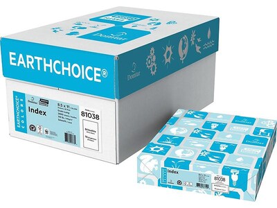 Domtar EarthChoice Index Paper, 110 lbs, 8.5" x 11", Bright White, 250/Pack (81038)