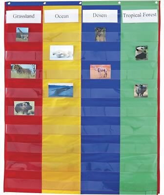 2 & 4 Column Double-Sided Pocket Charts