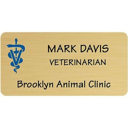 Medical Arts Press(r) Professional Name Badges; 2-3/4x1-3/8", Gold